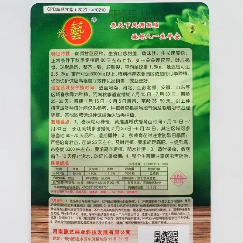 豫艺水果甘蓝种子甜脆莲花白种子甘兰种籽包心菜卷心菜扁包菜