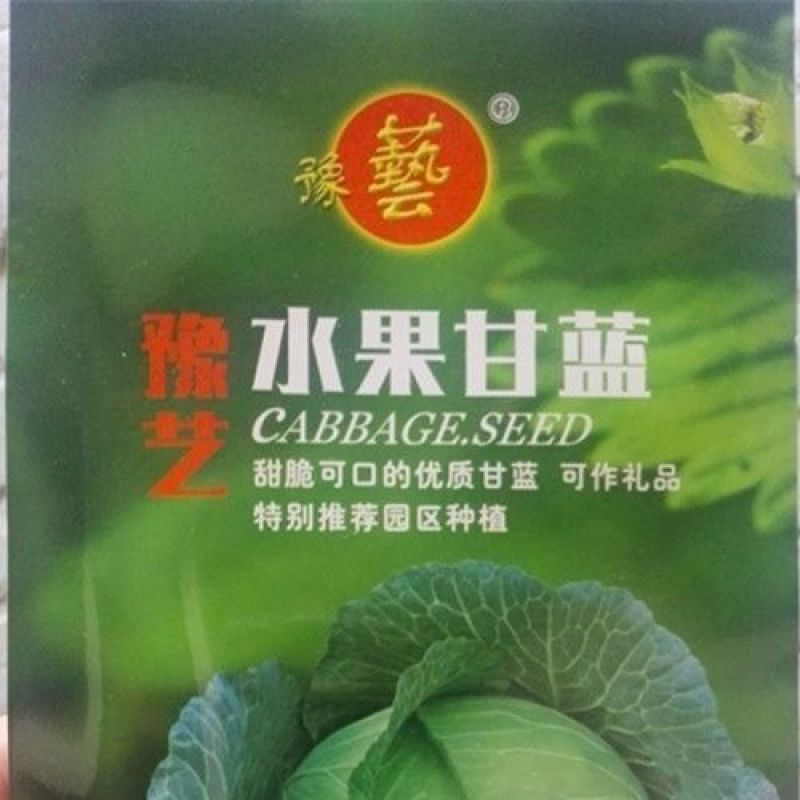 豫艺水果甘蓝种子甜脆莲花白种子甘兰种籽包心菜卷心菜扁包菜