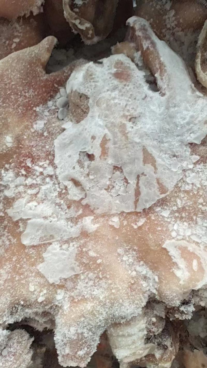 去骨熟羊头肉干净炒炖汤卤1件带箱19斤左右常年批发