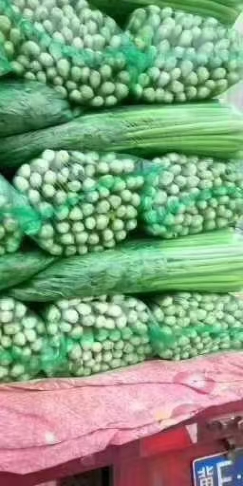 精品大棚芹菜大量有货上货量大，供应各种蔬菜市场超市质量好