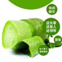 水果萝卜生吃脆甜可口潍坊水果萝卜沙窝萝卜一件代发社团整车