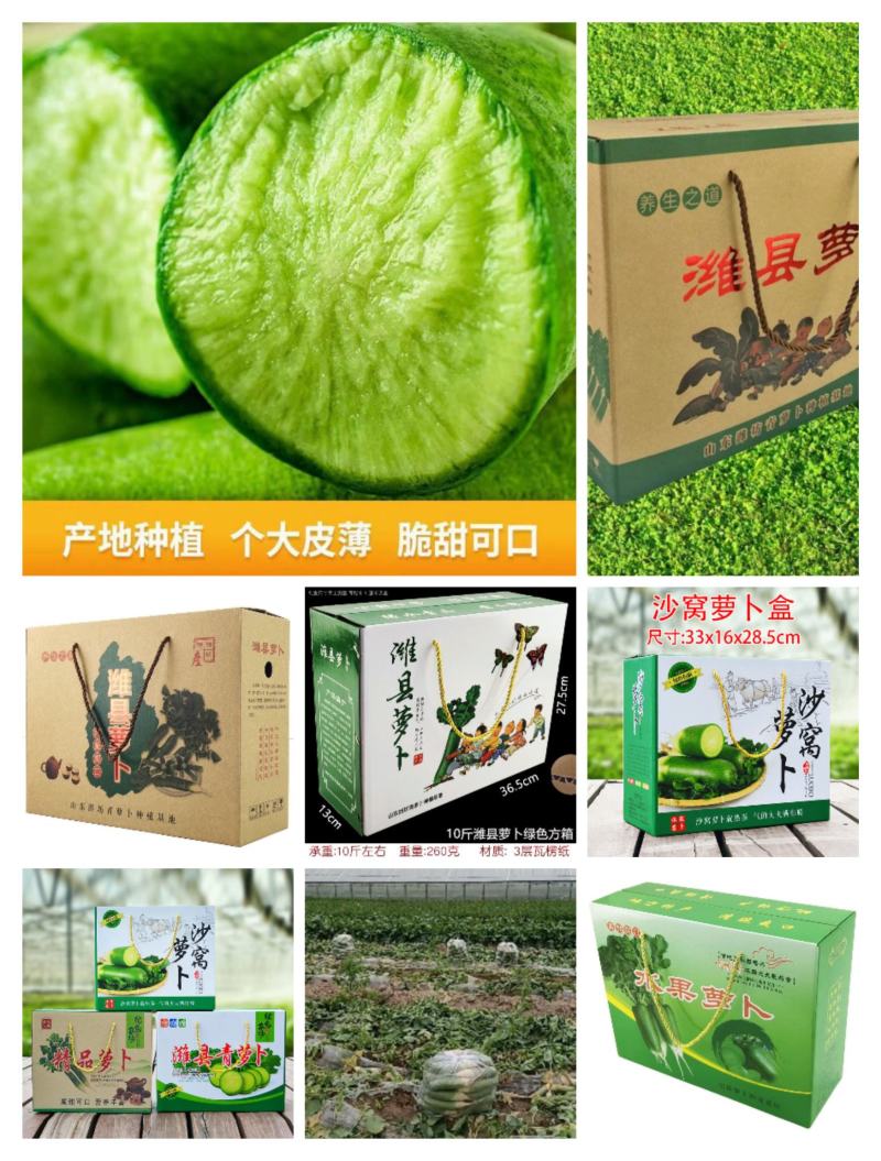水果萝卜生吃脆甜可口潍坊水果萝卜沙窝萝卜一件代发社团整车