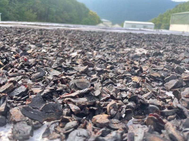 【厂家直发】九华山黄精茶九蒸九晒黄精茶品质佳无杂可零售可批