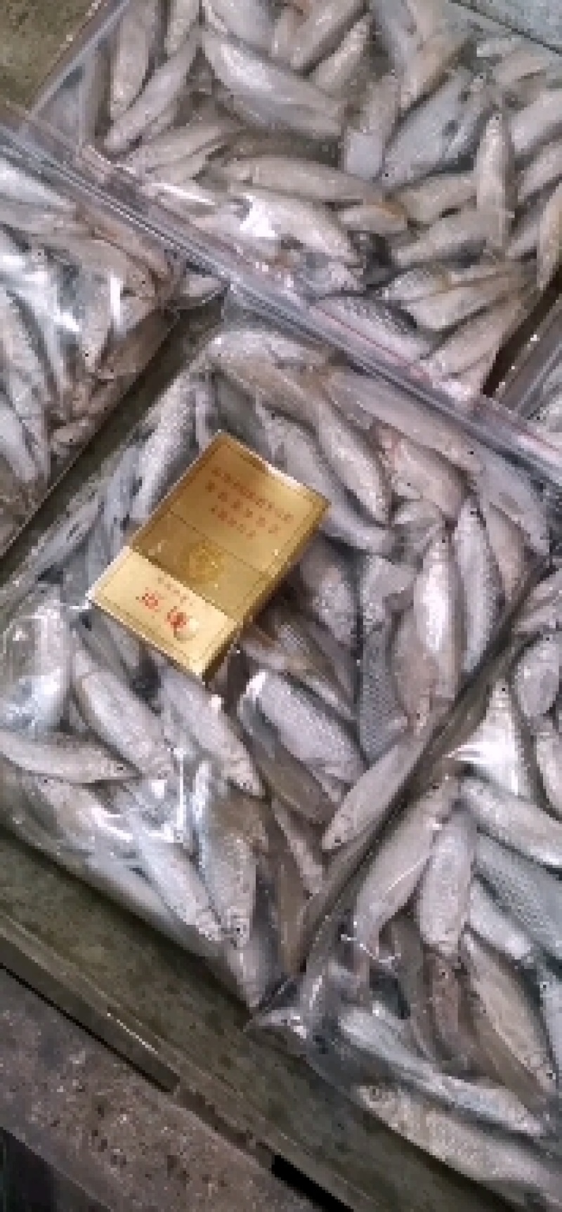 【推荐】开肚麦穗鱼麻鱼7-9公分，产地发货，质量保证