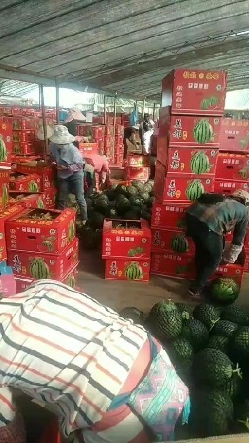香蕉西瓜甘直紫米