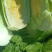 黄心大白菜北京新三号白菜白菜夏阳白菜大白菜