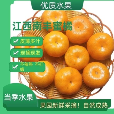 南丰蜜橘大量上市桔农直发精挑细选质优价廉欢迎订购