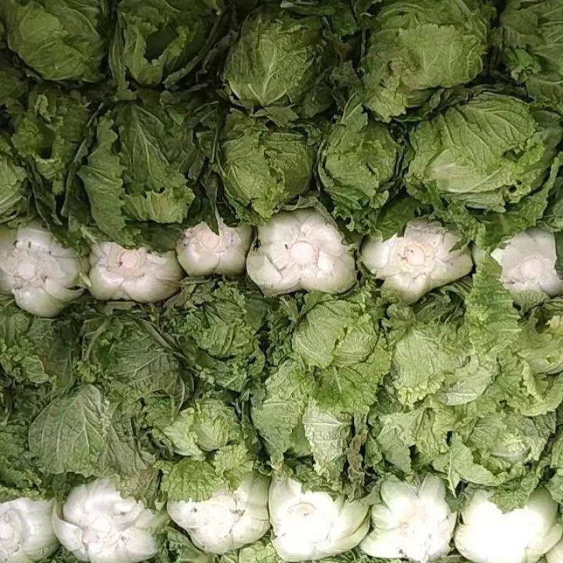 大白菜，北京新三号大白菜，产地直发，货源充足