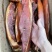 腊肉后腿腊肉烟熏腊肉青猪腊肉