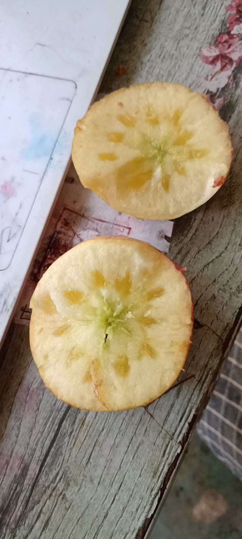 云南丽江糖心苹果