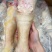 牛脚新鲜牛蹄一件36斤去毛牛掌
