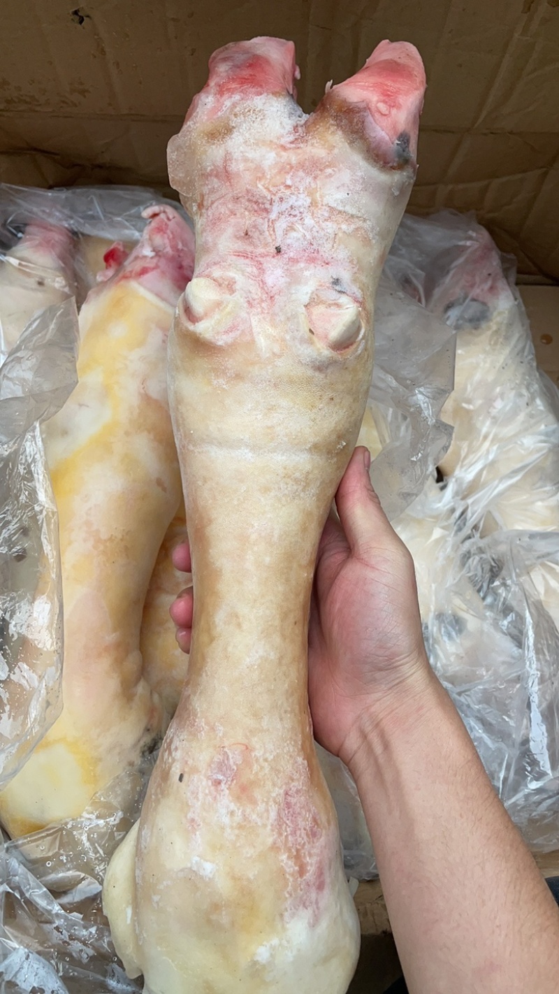牛脚新鲜牛蹄一件36斤去毛牛掌