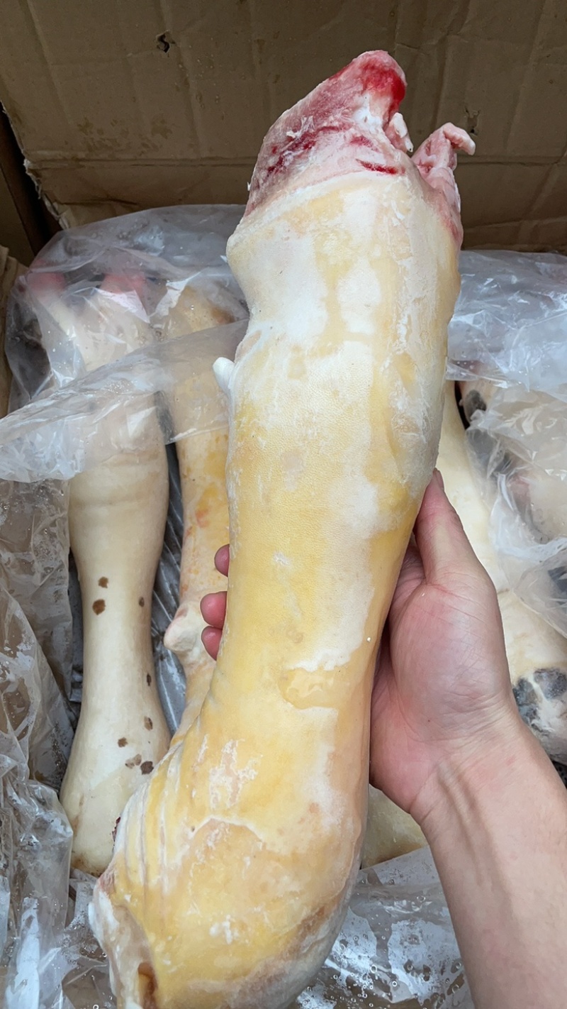 牛脚新鲜牛蹄一件36斤去毛牛掌