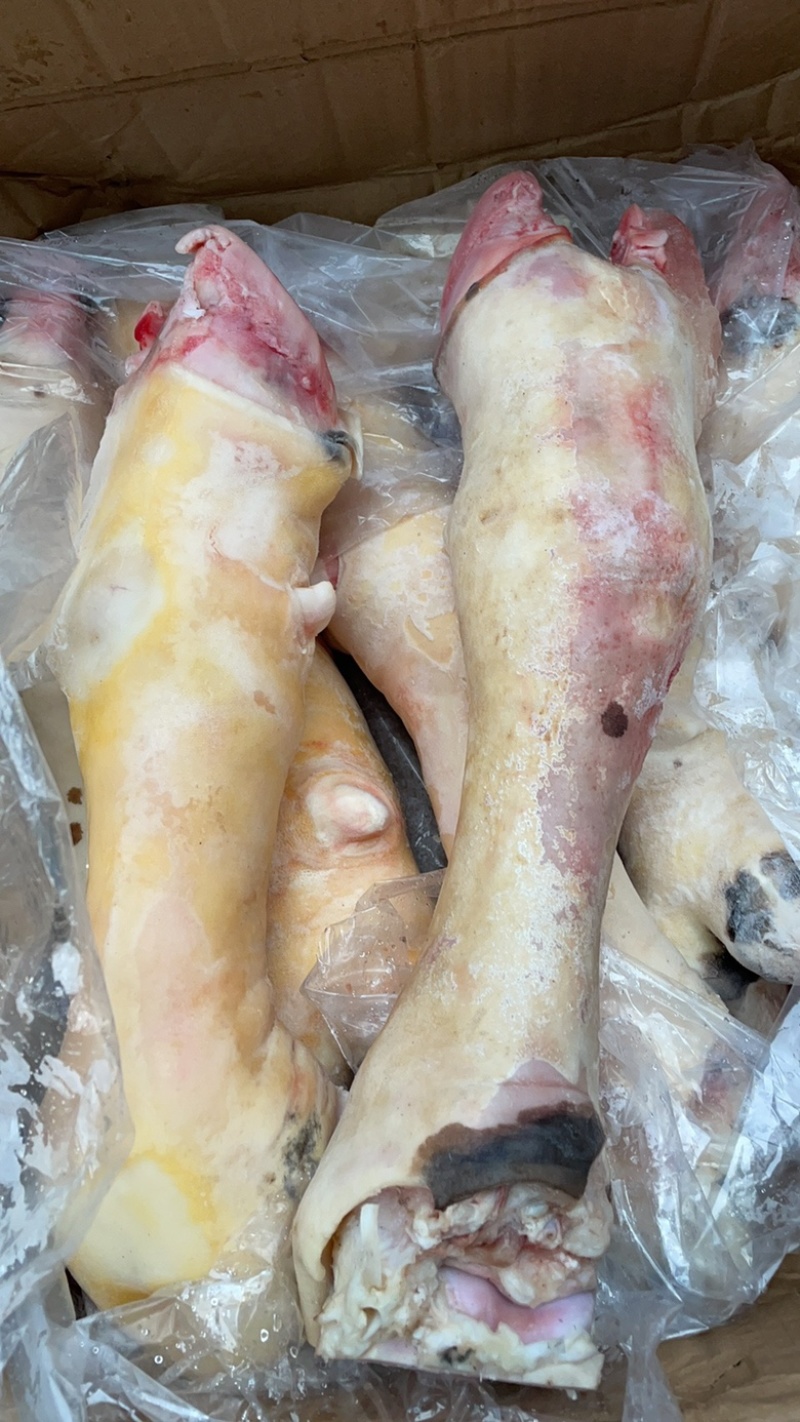牛脚新鲜牛蹄一件36斤去毛牛掌