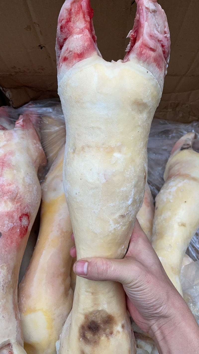牛脚新鲜牛蹄一件36斤去毛牛掌