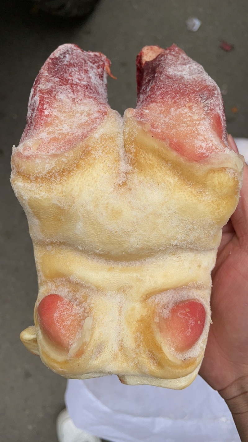 牛掌新鲜牛脚牛蹄一件50斤去毛牛蹄