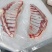 新鲜羊排一件20斤8片羊肉产品
