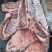 新鲜羊排一件20斤8片羊肉产品