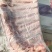 新鲜羊排一件20斤8片羊肉产品