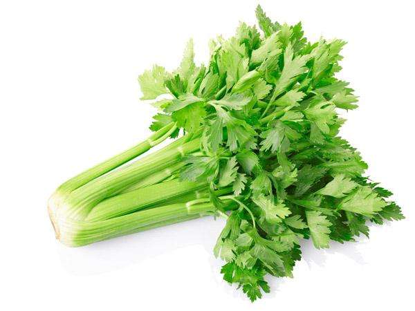 新鲜绿色芹菜茎部特写,展示其脆嫩质地与自然色泽 芹菜特写