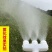 浇地浇水喷头浇菜神器水泵大流量农用灌溉洒水浇花雾化大棚浇