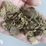 棉饼新疆棉籽优质棉籽加工制成养殖场优质饲料原料