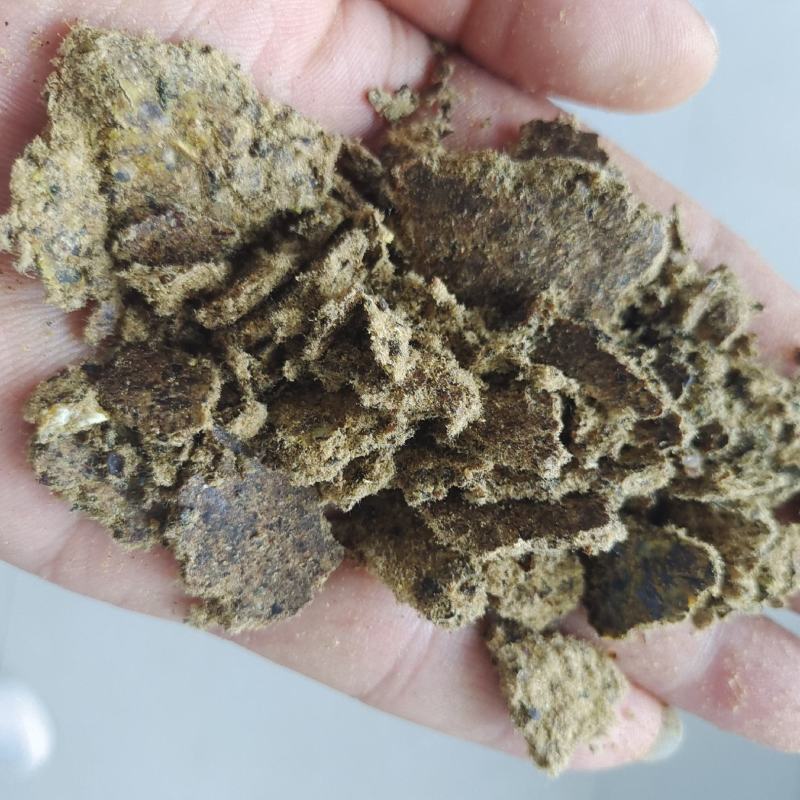 棉饼新疆棉籽优质棉籽加工制成养殖场优质饲料原料