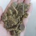 棉饼新疆棉籽优质棉籽加工制成养殖场优质饲料原料