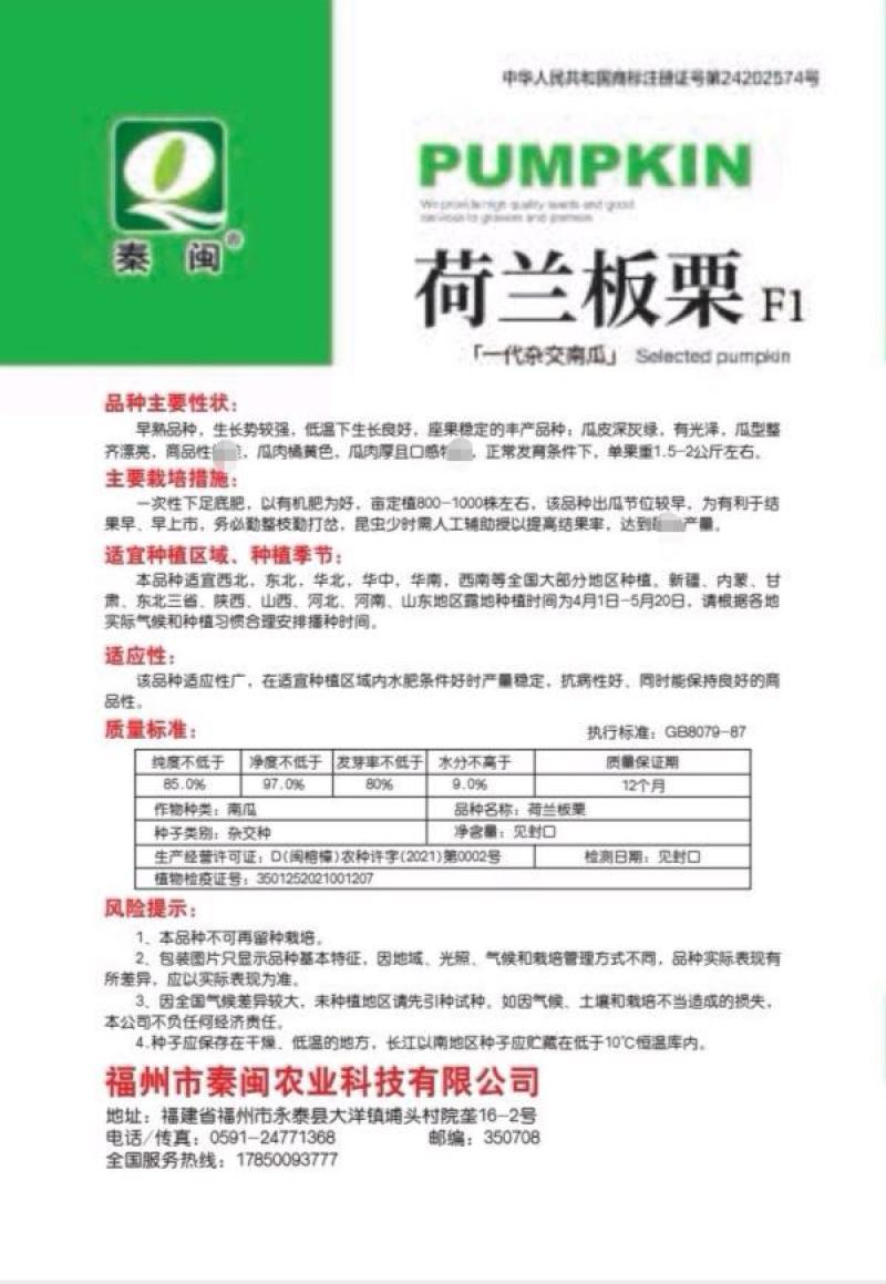 荷兰板栗南瓜种子农户农家庭院阳台均可种植蔬菜种子