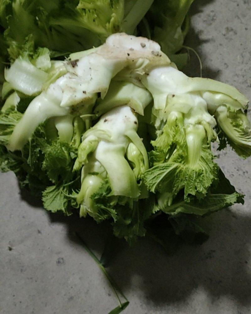 儿菜