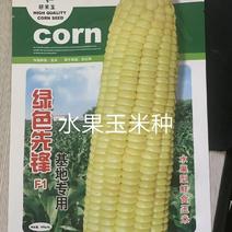 绿色先锋水果玉米种子囗感好大棒子产量高亩产3000斤抗病