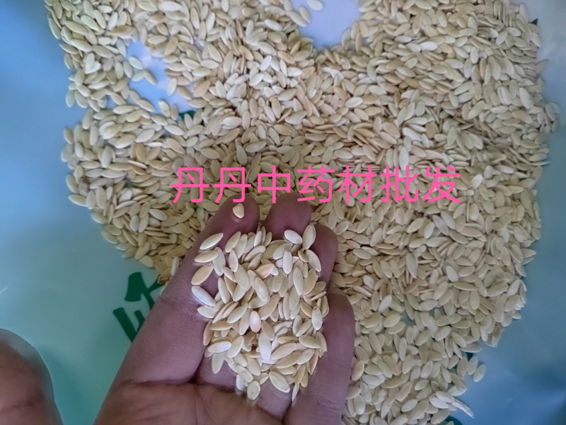 黄瓜籽，中药材黄瓜籽，药用黄瓜籽，纯干无硫