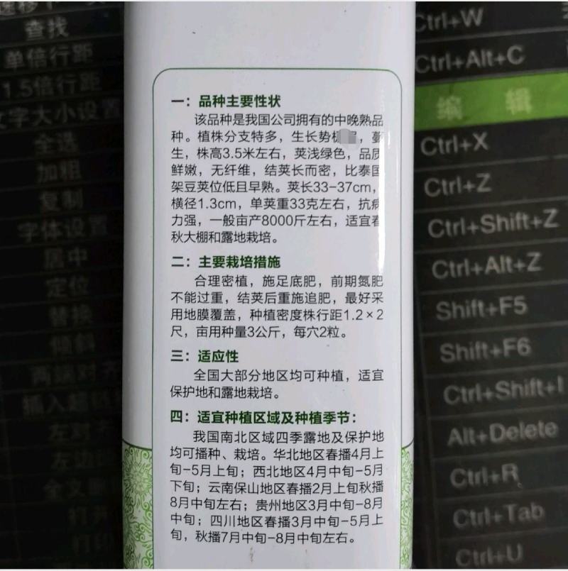 天龙红玉架豆王种子幕兰多四季豆种子无丝豆种籽种植户大田用
