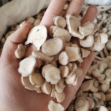 白芍无硫白芍多规格手机实拍中药材全品类批发