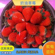 【精品】奶油草莓品质保证量大从优全国发货规格齐全货源充足