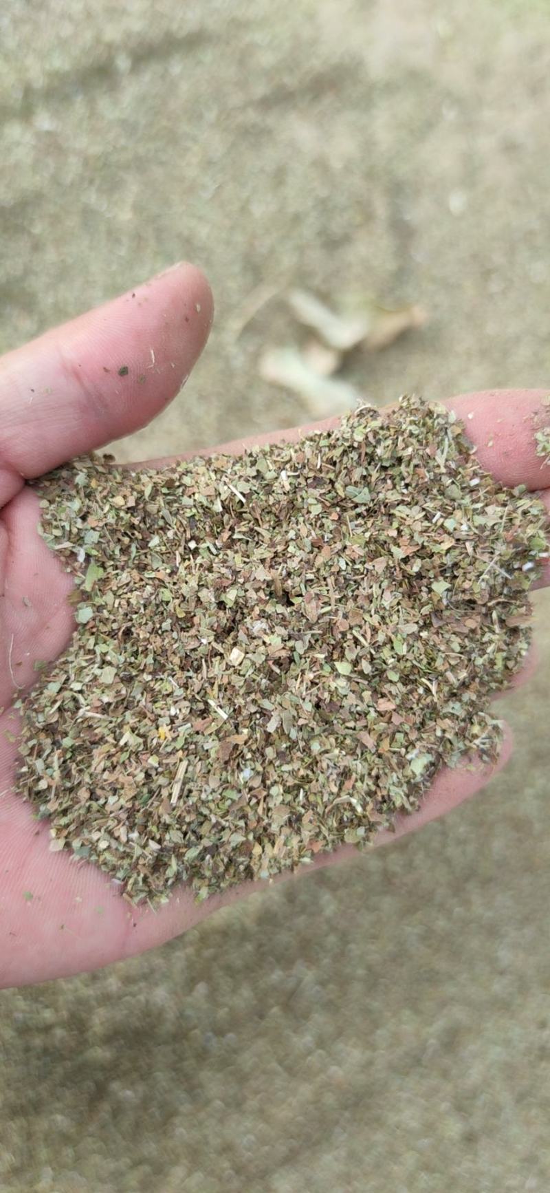 花生秧粉细草粉花生秧叶子粉