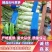 红尖叶莴笋，大量上市，量大从优，可视频看货，诚信专业