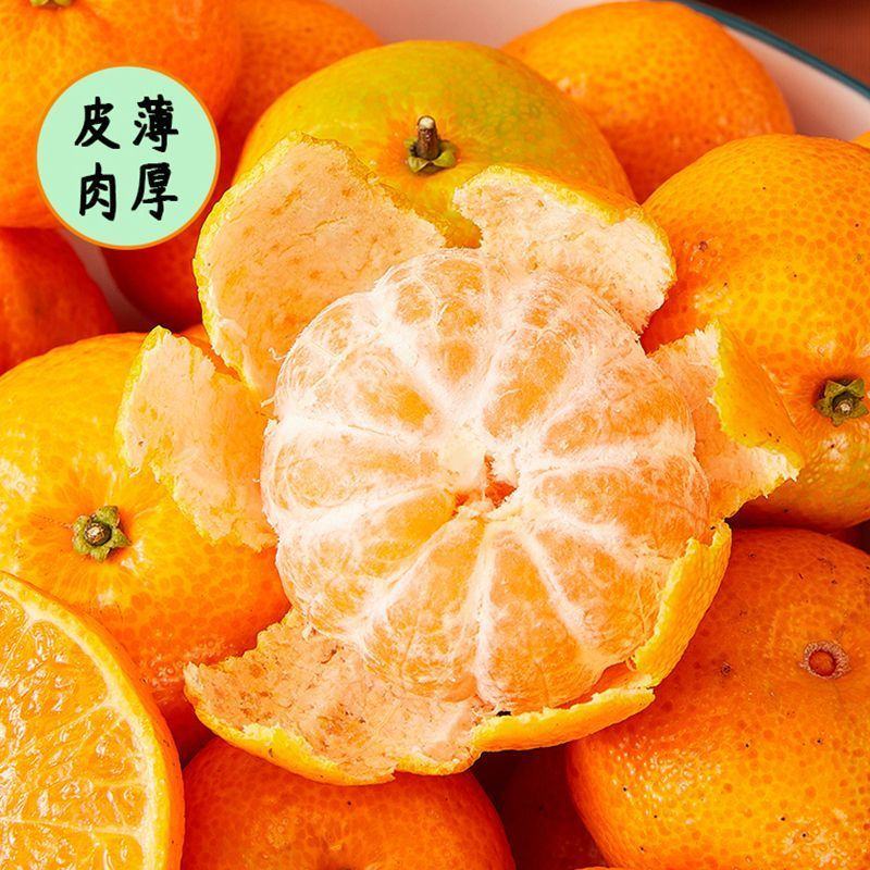 棉橘又叫臭皮柑甜度适中甘甜多汁时令水果欢迎订购