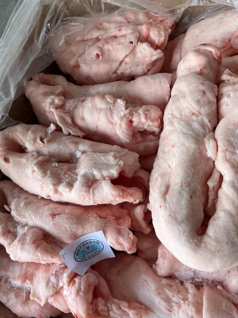（鲜猪板油）红星冷库肉类批发，精品猪板油鲜货，价格便宜