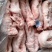 （鲜猪板油）红星冷库肉类批发，精品猪板油鲜货，价格便宜