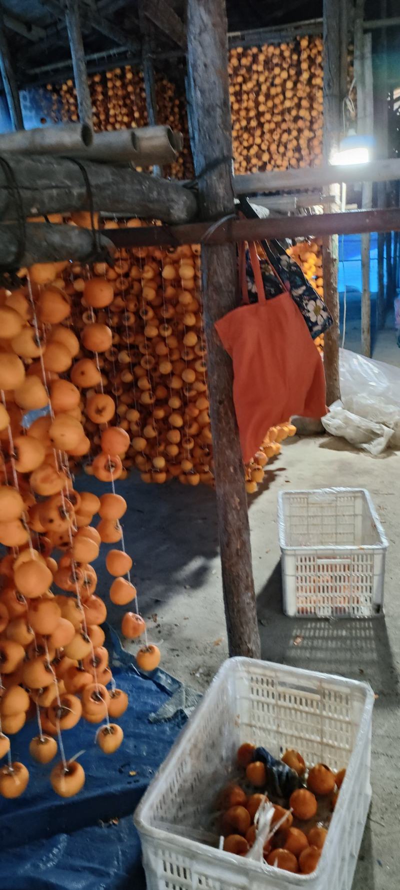 山东临朐柿饼，红饼，半干流心柿饼，溏心柿饼。。。。。。。