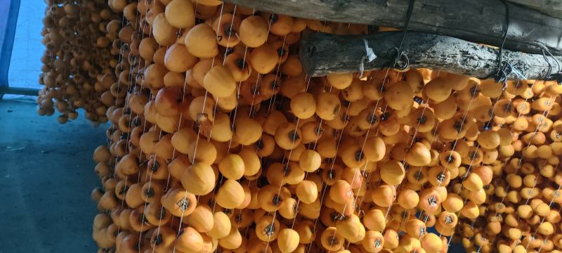 山东临朐柿饼，红饼，半干流心柿饼，溏心柿饼。。。。。。。