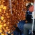 山东临朐柿饼，红饼，半干流心柿饼，溏心柿饼。。。。。。。