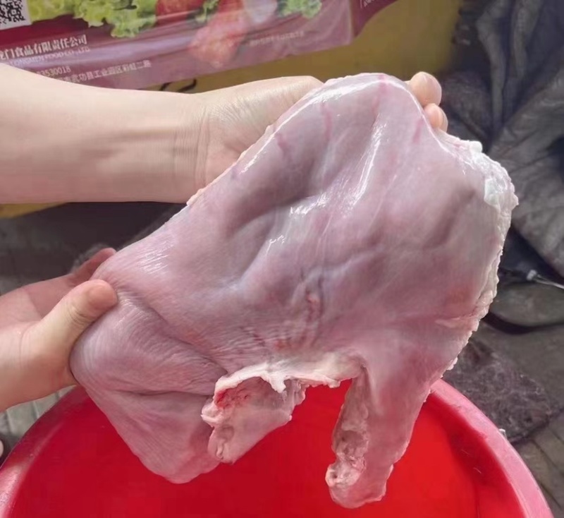 母猪大肚，7个装厂家直供量大从优欢迎联系