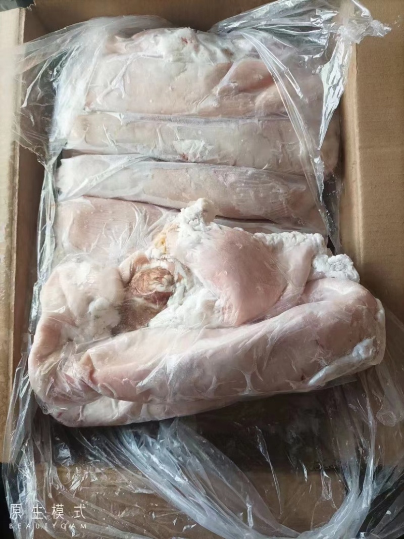 母猪大肚，7个装厂家直供量大从优欢迎联系