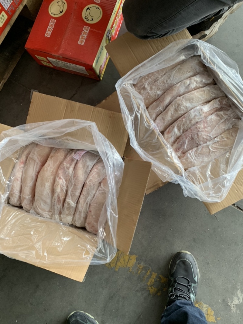母猪大肚，7个装厂家直供量大从优欢迎联系