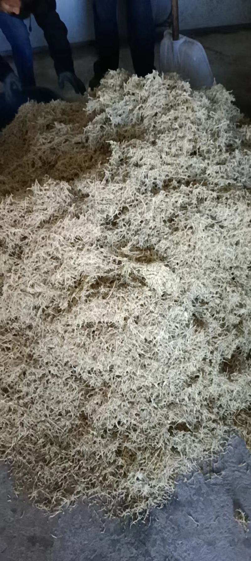 干菜干芥菜丝烘干细丝一斤泡10-13斤量大优惠
