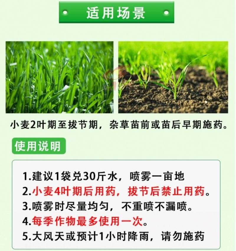 10%苯磺隆小麦田苗后专用除草剂防除一年生阔叶杂草播娘篙