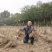 牡丹花苗观赏牡丹，菏泽基地几十个品种，秋季直供现挖现发。