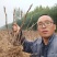 牡丹花苗观赏牡丹，菏泽基地几十个品种，秋季直供现挖现发。